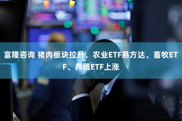 富隆咨询 猪肉板块拉升，农业ETF易方达、畜牧ETF、养殖ETF上涨