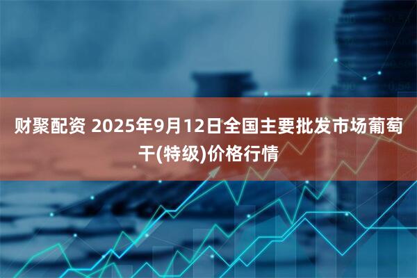 财聚配资 2025年9月12日全国主要批发市场葡萄干(特级)价格行情