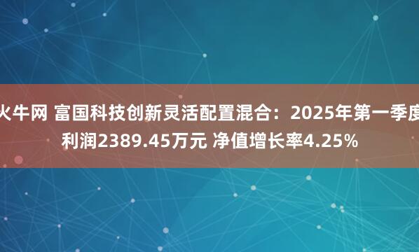 火牛网 富国科技创新灵活配置混合：2025年第一季度利润2389.45万元 净值增长率4.25%