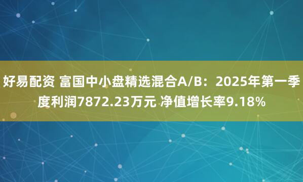 好易配资 富国中小盘精选混合A/B：2025年第一季度利润7872.23万元 净值增长率9.18%